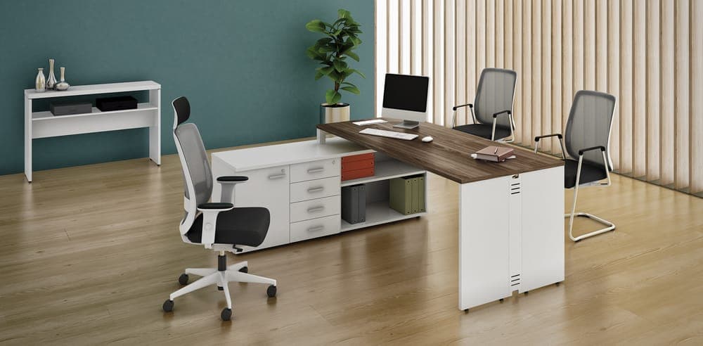 Mesa Diretiva Attuale